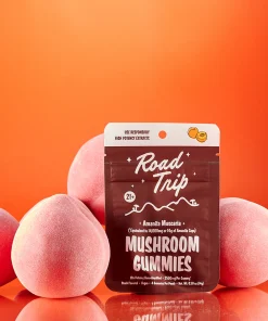 Amanita Muscaria Mushroom Gummies - Raspberry