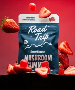 Desert Stardust Mushroom Gummies - Pineapple